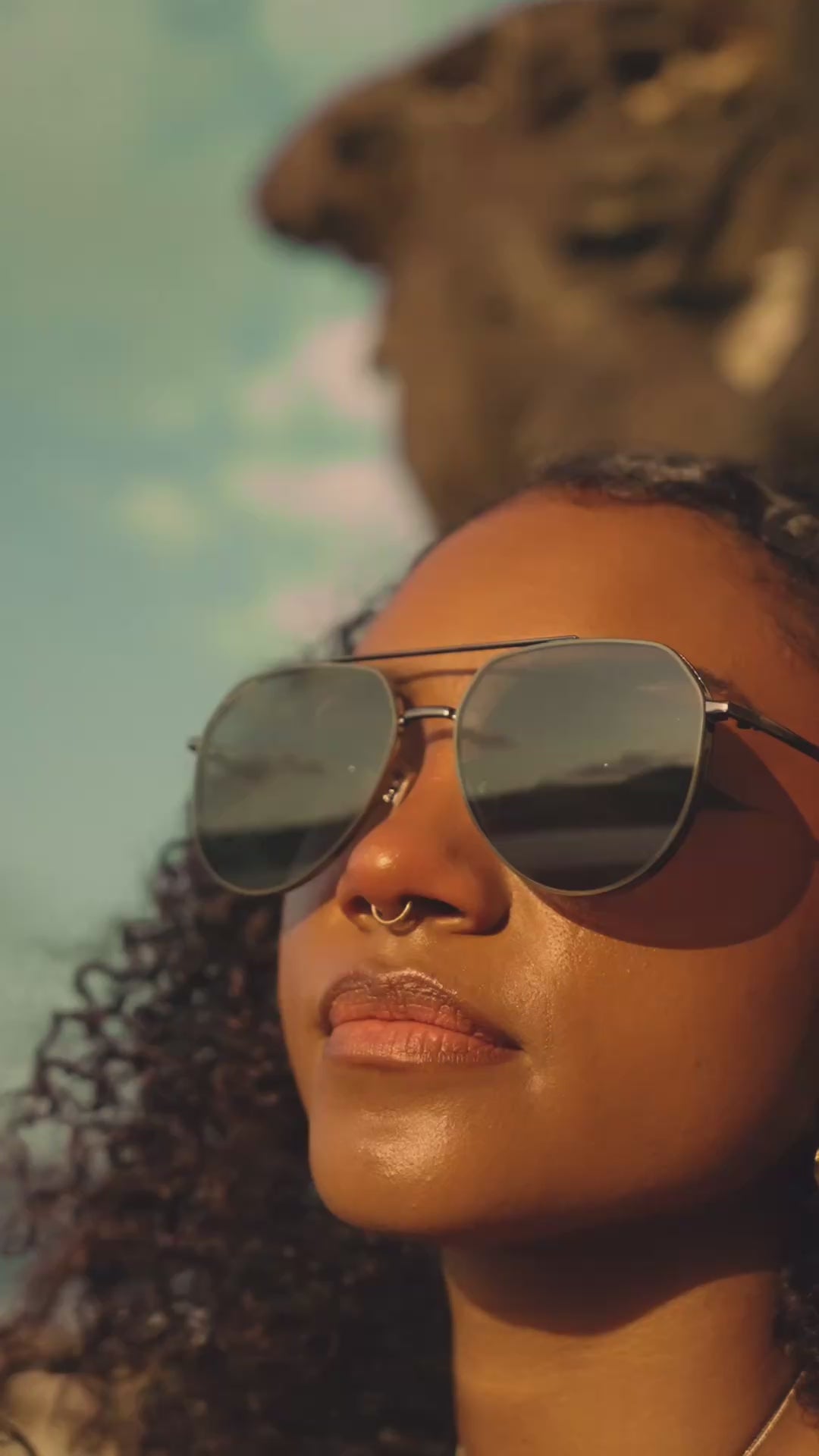 The Maverick | Polarised